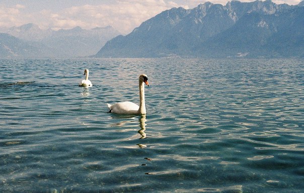 Умиротворение Женевского озера