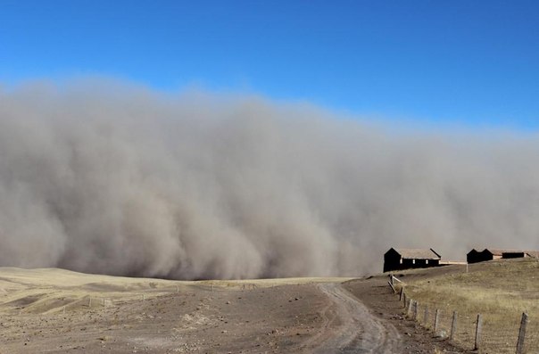 Сильные пылевые бури — явление не такое уж редкое в северо-западных, граничащих с пустынями, районах Китая. Однако буря, которая обрушилась на провинцию Ганьсу в этом году, удивила даже старожилов. 