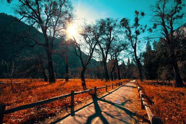 Осень в Национальном парке Йосемити, США.