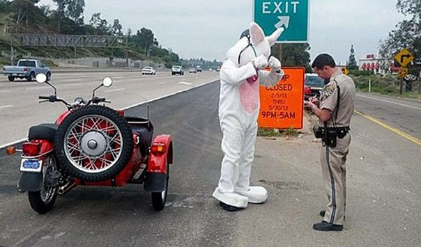 Полицейский выписывает предупреждение мужчине в костюме пасхального зайца, который ехал без защитного шлема, в Ла Месе, штат Калифорния, 31 марта 2013 года.