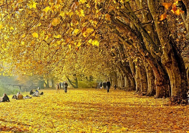 "Золотая осень", Германия.