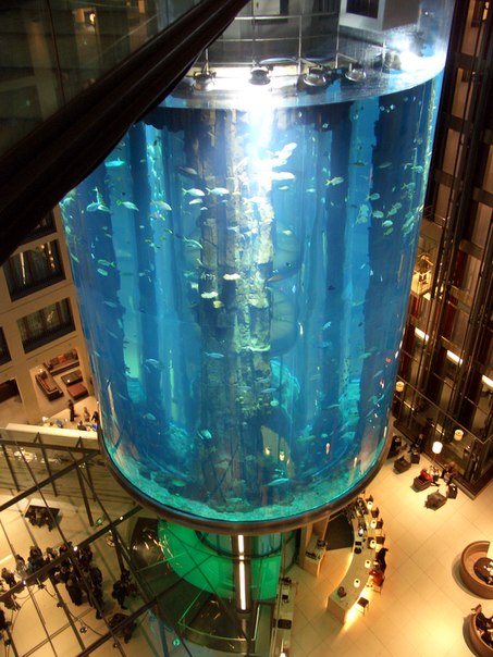 AquaDom - крупнейший в мире цилиндрический аквариум украшает интерьер отеля Radisson Blu, расположенного в Берлине.