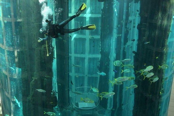 AquaDom - крупнейший в мире цилиндрический аквариум украшает интерьер отеля Radisson Blu, расположенного в Берлине.