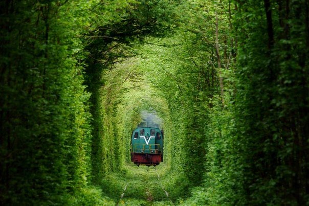 «Тоннель любви», Клевань, Украина.