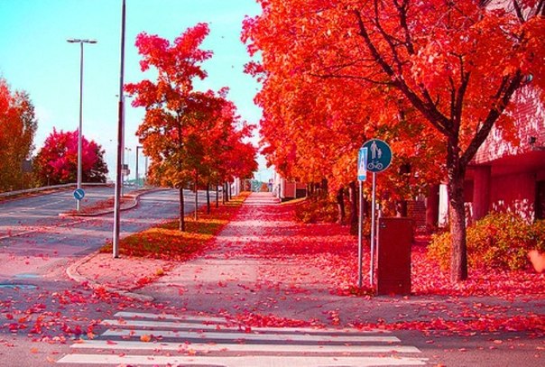 Красная осень, Стокгольм, Швеция.