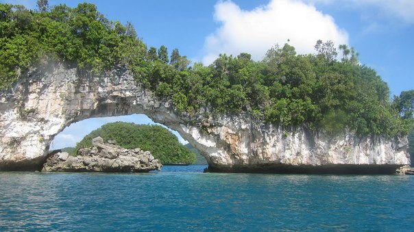 Слышали когда-нибудь о таком государстве, как Палау? А оно есть. И очень живописное. Это островная республика, которое расположено в Тихом океане в 800 км к востоку от Филиппин и к северу от Индонезии. Состоит из 328 райских островов. 