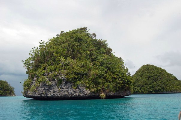 Слышали когда-нибудь о таком государстве, как Палау? А оно есть. И очень живописное. Это островная республика, которое расположено в Тихом океане в 800 км к востоку от Филиппин и к северу от Индонезии. Состоит из 328 райских островов. 