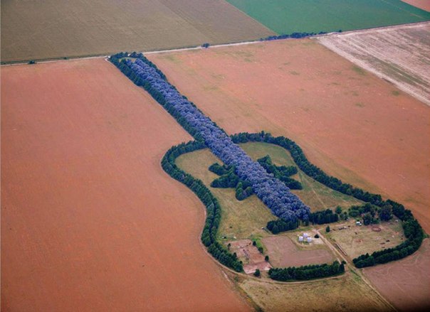 В аргентинских пампасах с высоты птичьего полета можно разглядеть лес, высаженный в форме гитары. Таким образом фермер Педро Урета решил увековечить память о своей жене, скончавшейся после болезни 35 лет назад.