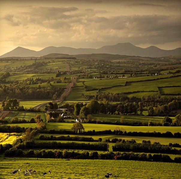 Ирландский пейзаж...