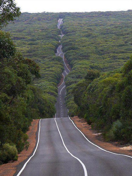 Дорога на Остров Кенгуру, Австралия.