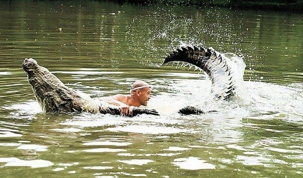 У 52-летнего костариканского рыбака Джильберто Шеддена по прозвищу Чито есть необычный друг — крокодил Почо, длина которого превышает 5 метров, а вес немногим не дотягивает до полутонны. Лет 20 назад Чито нашел на берегу реки Парисмина раненого крокодила. Рептилия была без левого глаза, умирала от голода и весила всего 60 кг. Он отвез крокодила домой, шесть месяцев лечил его, кормил курицами и рыбой и даже спал рядом, а потом выпустил в озеро недалеко от дома. К удивлению Чито, Почо выполз на берег и побрел за ним. Когда бесстрашный рыбак первый раз зашел в воду рядом с крокодилом, родные в ужасе отвернулись. Четыре года назад друзья уговорили его показывать игры с Почо зрителям, которые съезжаются со всех концов страны.