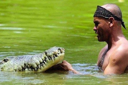 У 52-летнего костариканского рыбака Джильберто Шеддена по прозвищу Чито есть необычный друг — крокодил Почо, длина которого превышает 5 метров, а вес немногим не дотягивает до полутонны. Лет 20 назад Чито нашел на берегу реки Парисмина раненого крокодила. Рептилия была без левого глаза, умирала от голода и весила всего 60 кг. Он отвез крокодила домой, шесть месяцев лечил его, кормил курицами и рыбой и даже спал рядом, а потом выпустил в озеро недалеко от дома. К удивлению Чито, Почо выполз на берег и побрел за ним. Когда бесстрашный рыбак первый раз зашел в воду рядом с крокодилом, родные в ужасе отвернулись. Четыре года назад друзья уговорили его показывать игры с Почо зрителям, которые съезжаются со всех концов страны.