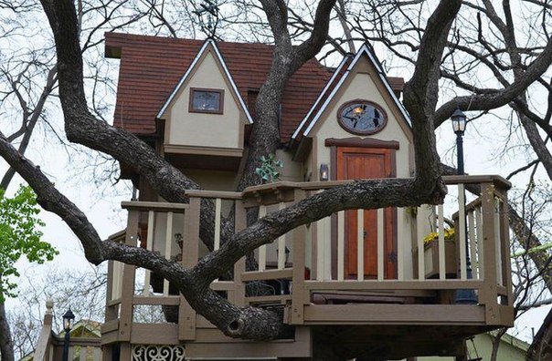 Домик для внуков на дереве