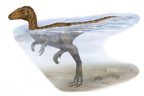 Динозавры хорошо плавали