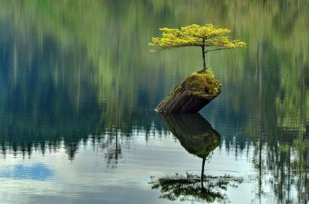 "Fairy Lake", Канада.