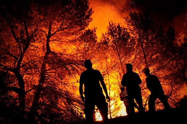 Пожарные пытаются потушить пожар в Торре-де-Маканес, около города Аликанте, Испания, 13 августа 2012 года.