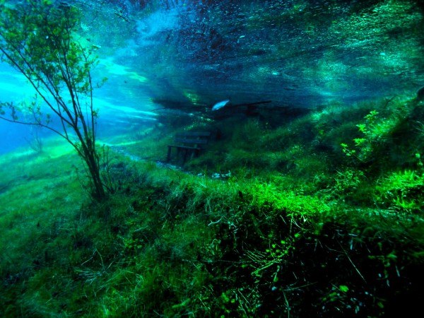 Подводный парк «Зеленое озеро» 
