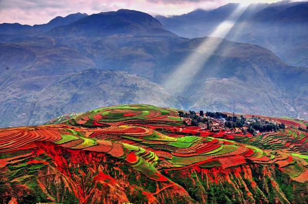 Красные Земли в Китае напоминают огромное полотно, сотканное из разноцветных лоскутов. Здесь под ярким голубым небом собраны вместе красный, зеленый, желтый, белый и другие цвета.