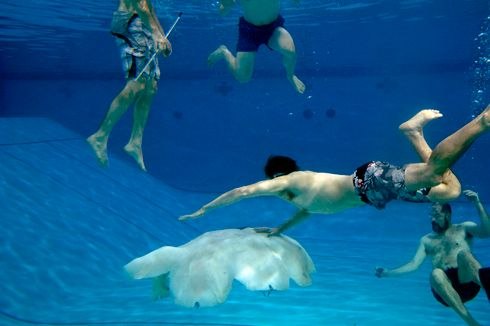 Исследователи создали большого робота-медузу