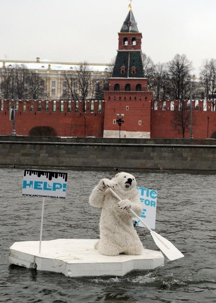 В понедельник, 1 апреля, на Москве-реке напротив Кремля был замечен «белый медведь», который плавал на льдине с плакатами Help! («Помогите») и «Arctic not for sale» («Арктика не продается»). Это Greenpeace провела очередную акцию протеста против разработки нефтяных и газовых месторождений в Северном ледовитом океане. Судьба «медведя» досконально неизвестна — некоторое время он проплавал на льдине, а затем был «спасен» сотрудниками МЧС России. Был ли он задержан за несанкционированный «заплыв» напротив Кремля — не сообщается.
