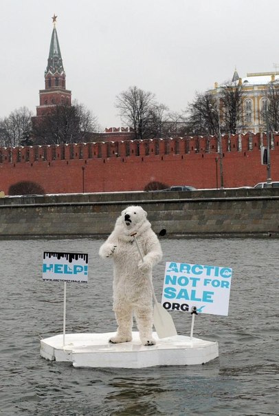 В понедельник, 1 апреля, на Москве-реке напротив Кремля был замечен «белый медведь», который плавал на льдине с плакатами Help! («Помогите») и «Arctic not for sale» («Арктика не продается»). Это Greenpeace провела очередную акцию протеста против разработки нефтяных и газовых месторождений в Северном ледовитом океане. Судьба «медведя» досконально неизвестна — некоторое время он проплавал на льдине, а затем был «спасен» сотрудниками МЧС России. Был ли он задержан за несанкционированный «заплыв» напротив Кремля — не сообщается.