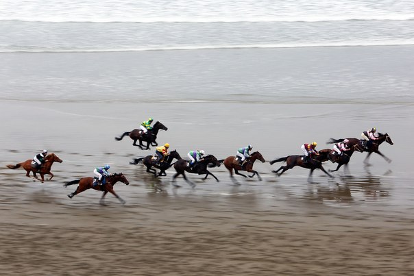 Всадники скачут по пляжу во время соревнования «Castlepoint Beach Races» в Мастертоне, Новая Зеландия, 2 марта 2013 года.