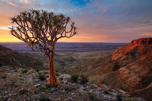Хоугаард Малан из Южной Африки, путешествуя по Африке, собрал огромную коллекцию фоторабот, посвящённую Намибии. Ниже представлены фотографии, сделанные им в пустыне Намиб, которая занимает большую часть этого государства.