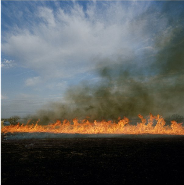 Ларри Шварм (Larry Schwarm) очень любит фотографировать лесные пожары. Снимает их на протяжении многих лет в родном Канзасе. Имеет два образования по специальностям Дизайн/Скульптура и Дизайн/Фотография Канзасского Университета.