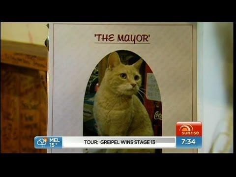 Кот в 15-й раз выбран мэром города