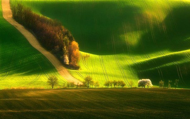Зеленые поля в Моравии, Чехия.