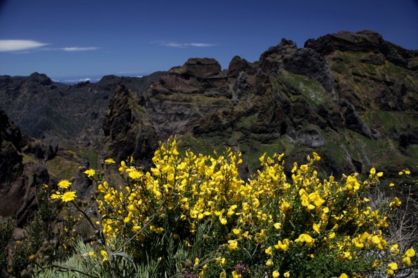 Мадейра-маленький (57 км*22 км), но удивительный остров, затерянный в Атлантическом океане.