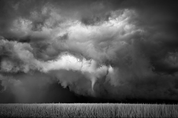 Могучие и прекрасные бури Митча Добраунера (Mitch Dobrowner)