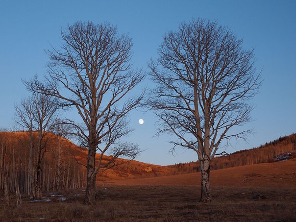 Восход Луны в Колорадо, США.