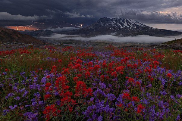 Гора Святой Елены— активный стратовулкан, расположенный в округе Скамания штата Вашингтон, США.