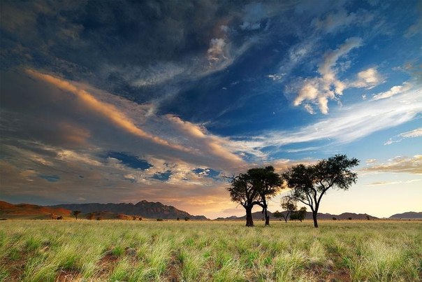 Намибия глазами фотографа из ЮАР Хоугаарда Малана.