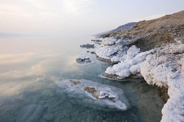 Мертвое море, Иордания. На иорданском берегу Мертвого моря в результате волн был образован толстый слой сталактитов и кристаллов соли.