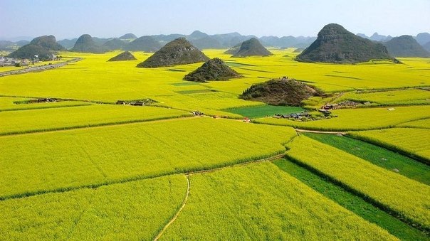 Люопинг — маленькая область в восточном Юньнане, Китай. Она расположена приблизительно в 220 километрах к северо-востоку от Куньмина. Места эти прославились благодаря тому, что в начале весны здесь расцветают огромные рапсовые поля.