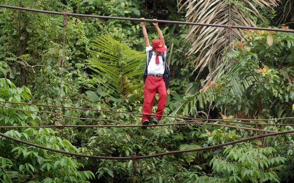 Мальчик переходит реку по веревкам, чтобы добраться до школы в Пинту Габанг, Индонезия. Эти дети должны проходить по канату, натянутому на высоте 9 метров над рекой, чтобы добраться до своей школы вовремя, а потом идти еще 11 километров через лес в школу в городе Паданг… 