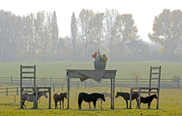 Лошади стоят под гигантским деревянным столом и двумя стульями на лугу возле Дёльштедт, Германия.