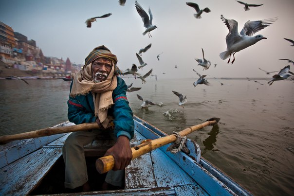 Старик плывет по священной реке Ганг в районе города Варанаси, Индия.