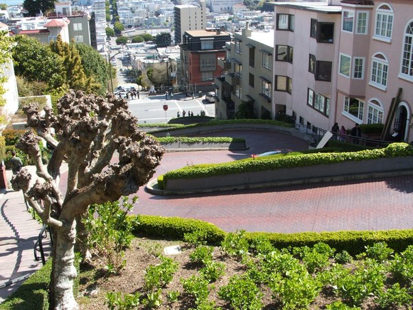 Ломбард-стрит (Lombard Street) — вьющаяся улица в калифорнийском городе Сан-Франциско, США. Ее форма помогает сгладить 27° уклон Русского холма.