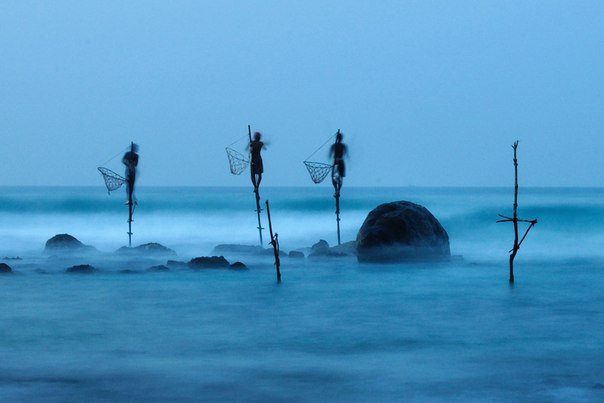 Рыбалка на сваях практикуется только в Шри Ланке. Этот снимок на долгой выдержке показывает, насколько неустойчивы сваи, на которых стоят рыбаки.