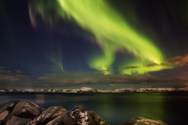 Северное сияние в небе над Хаммерфестом, Норвегия.