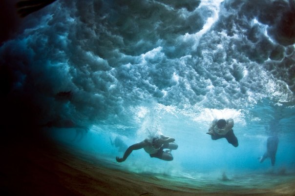 Австралийский фотограф-путешественник Марк Типпл (Mark Tipple) является автором внушительной серии подводных фотографий. Помимо этого, австралиец успел за прошлое лето отснять документальный фильм.