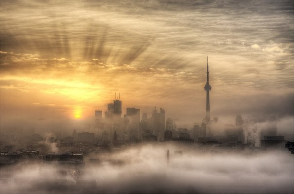 Утро в Торонто, Канада.