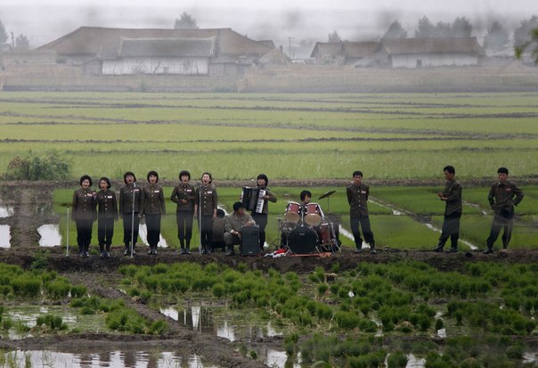 Музыкальная группа выступает посреди поля, встречая таким образом фермеров. Фотография сделана на острове Хванггумпьонг, недалеко от северокорейского города Синыйджу и китайского города Даньдун.