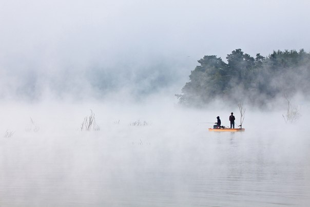 Кажется, будто рыбаки, забросившие удочки в окутанное рассветным туманом водохранилище, рыбачат на облаке. Водохранилище Gosam в Anseong, Кёнгидо, Южная Корея. 