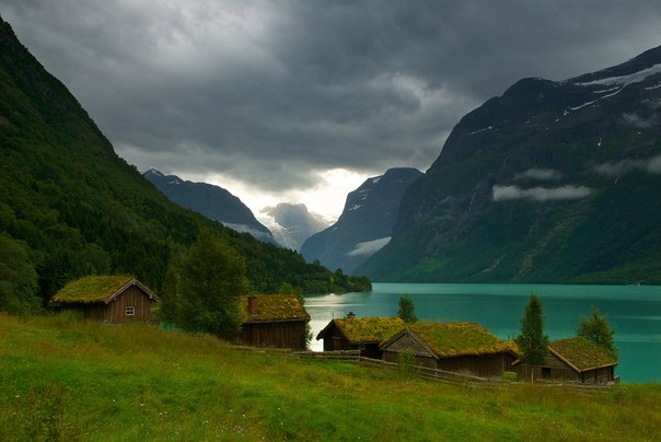 Травяные крыши в Норвегии используются уже на протяжении многих столетий. С давних времен кровля крыш у народов, населяющих Скандинавию, делалась из торфа, дерна, коры березы и других природных и, как сказали бы сейчас, экологических материалов.