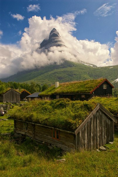 Травяные крыши в Норвегии используются уже на протяжении многих столетий. С давних времен кровля крыш у народов, населяющих Скандинавию, делалась из торфа, дерна, коры березы и других природных и, как сказали бы сейчас, экологических материалов.