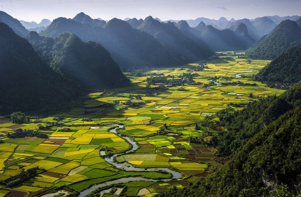 Рисовые участки в долине Бак Сон, Вьетнам.
